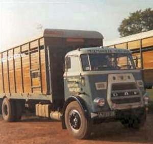 Daf  120pk Veebak