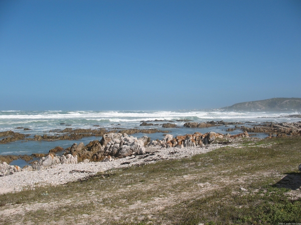 Op weg naar Kaap Agulhas