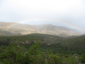 Regenboog - Outeniqua mountains