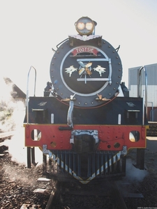 Outeniqua Choo Tjoe - Tootsie