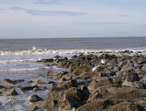 blankenberge 17-24 oktober 102