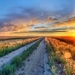 ws_Sunset_Field_Sky_Road_&_Plants_2560x1600