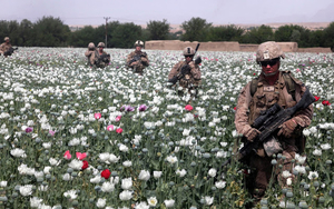 foto-van-soldaten-in-een-veld-met-witte-bloemen-hd-militairen-ach