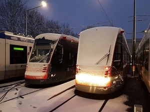 Beide in de Sneeuw