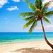foto-tropisch-paradies-sand-strand-kuste-meer-ozean-palme-sommer-