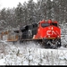 Martins, Ontario, Canada