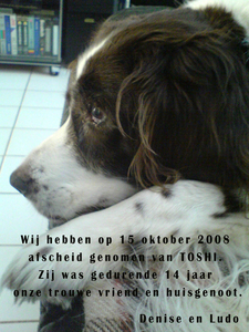 MIDAS 2008 - 001