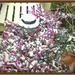 MIDAS 2009 - 007