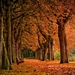 trees-autumn-bench-parks-2560x1600