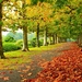Autumn_park_foliage_benches_trees-2016_Scenery_HD_Wallpaper_1920x