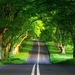 Green-Nature-Road-Wallpaper