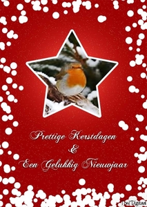 Kerstkaart1