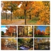 hd-herfst-achtergrond-met-herfst-in-het-park-hd-herfst-wallpaper-