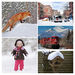 foto-van-een-rode-trein-met-bergen-en-sneeuw-hd-trein-wallpaper-C