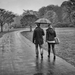 A walk in the rain Park Brasschaat
