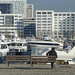 admiring the yachts in Antwerp