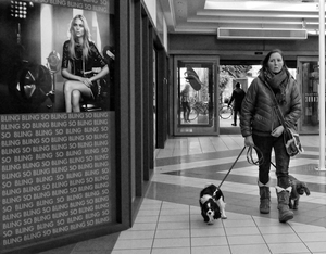 walking the dogs in the mall-Jules Grandgagnage