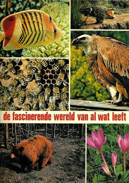 De natuur, de fascinerende wereld van al wat leeft (v)