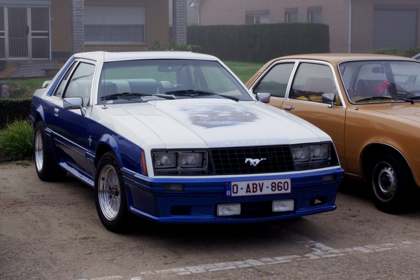 IMGP3363