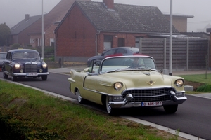 IMGP3375
