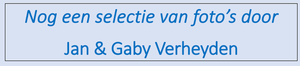 tekst