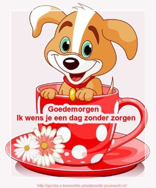 67097655_1094704997395718_53906366460329984_n