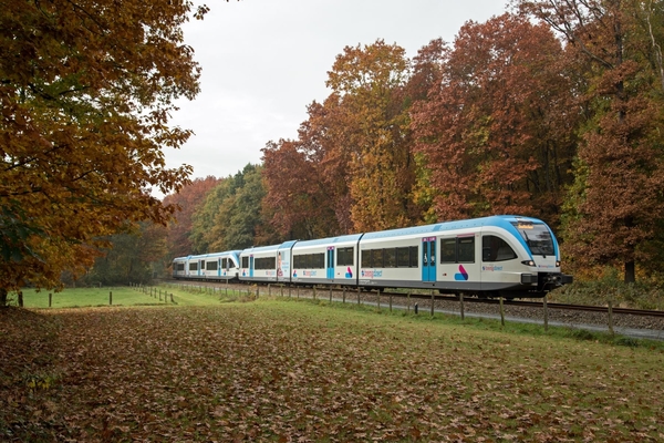Binnenkort komt de mooie kleurentijd er weer aan. GTW Breng 5047 