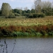 Demerbroeken en grote grazers