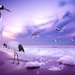 hd-wallpaper-with-birds-at-the-beach