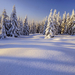 winter-bild-mit-viel-schnee-und-baumen-im-hintergrund