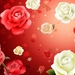 red-wallpaper-with-red-and-white-roses