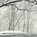 bilder-schneefall-im-park-hd-winter-wallpaper