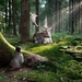 wallpaper-deer-and-little-girl-in-forest
