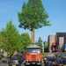 Bomen transport