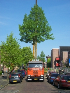 Bomen transport