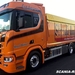 SCANIA-R580