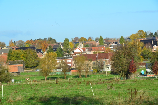 DSC_8600