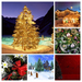 hd-wallpaper-with-christmas-trees-in-valley-with-snow-COLLAGE