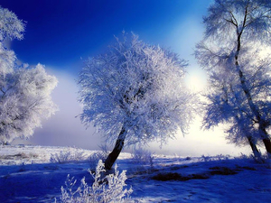 blue-white-winter-hd-wallpaper
