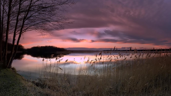 Lake_forest_1366x768_laptop