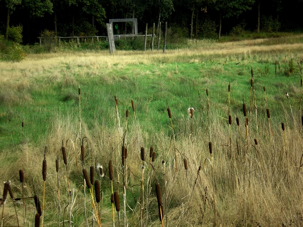 rust en picknickplaats