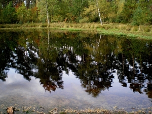Den Tosch
