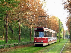 Geen trams in de fraaie herfstkleuren op de Scheveningseweg