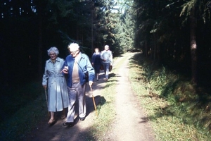 alle 4 maken een bos wandeling