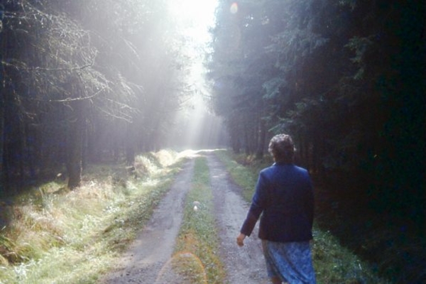 Tiny wandeld in het `Schussbachwald`