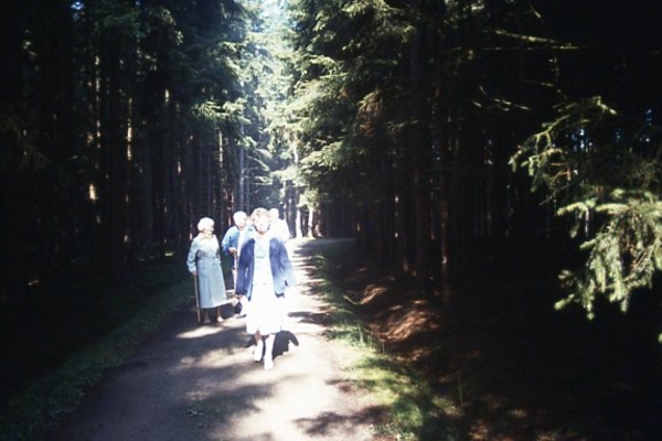 Wandeling in het `Schussbachwald`