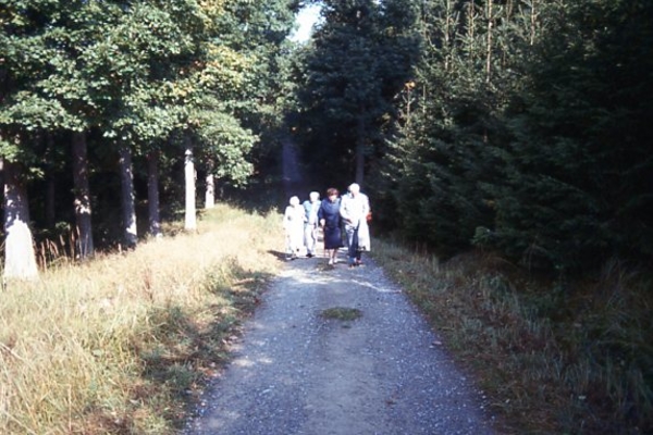 Wandeling in het `Schussbachwald`