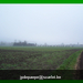 Herfstwandeling_9