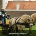 Scannen0016-3