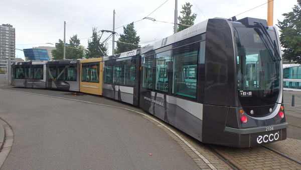 2104 - Ecco - 08.10.2019-2